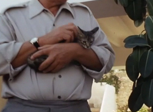 More - Dr. Wolf Heinz Engelmann holding tabby kitten