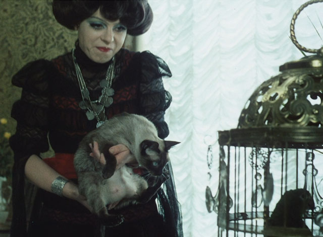 Morgiana - Viktoria Iva Janzurová holding up seal point Siamese cat to parrot in cage