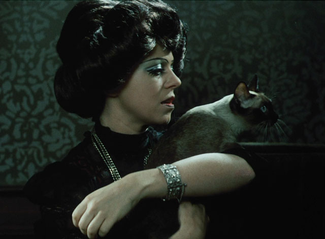 Morgiana - Viktoria Iva Janzurová holding seal point Siamese cat