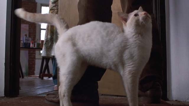 The Morning After - flame point cat at feet of Turner