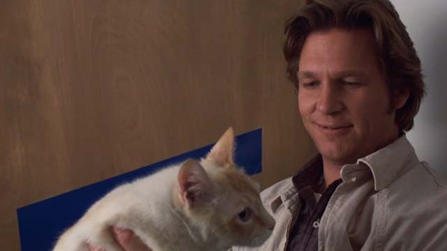 The Morning After - flame point cat being held up by Turner Jeff Bridges