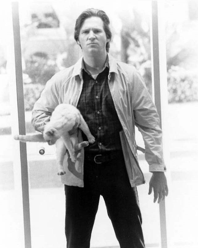 The Morning After - black and white photo of Turner Jeff Bridges holding flame point cat