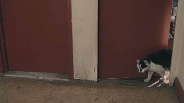 Motherhood - tuxedo cat Lady walking through door into corridor