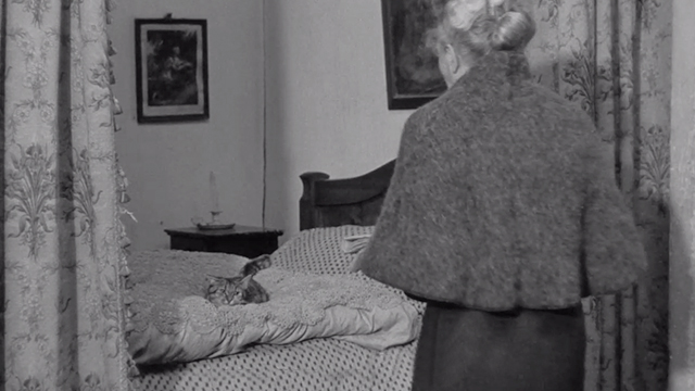 Mouchette - tabby cat crouching on bed as woman approaches