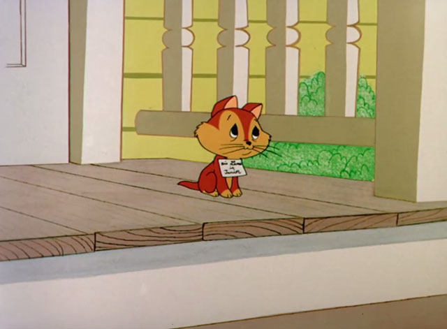 Mouse-Placed Kitten - orange kitten Junior on front porch alone