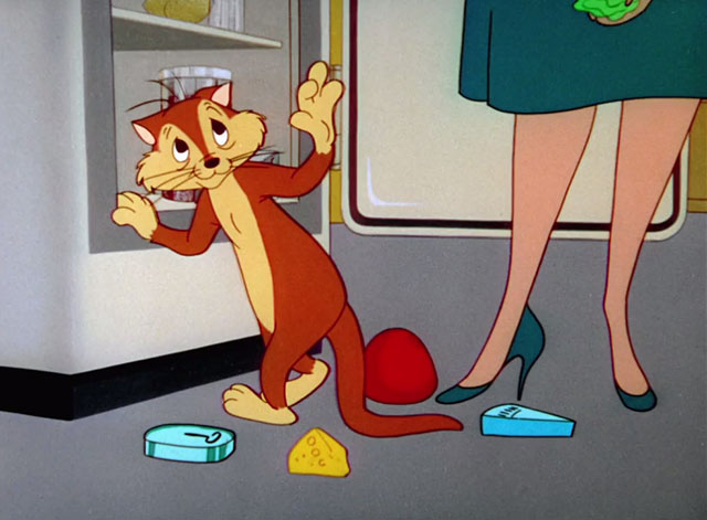 Mouse-Placed Kitten - orange cat Junior caught raiding refrigerator by woman