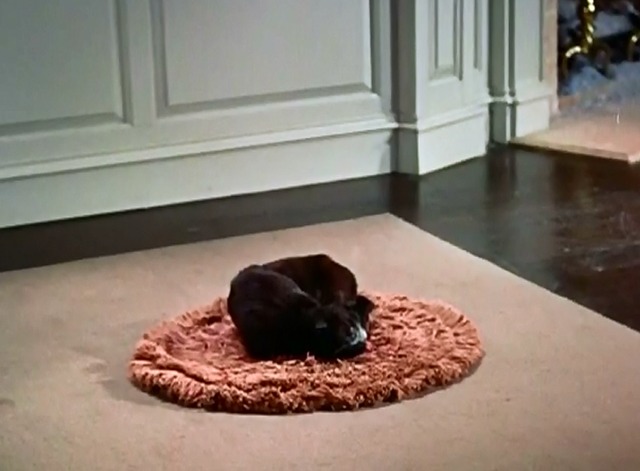 The Mouse That Jack Built - real cat sleeping on round carpet