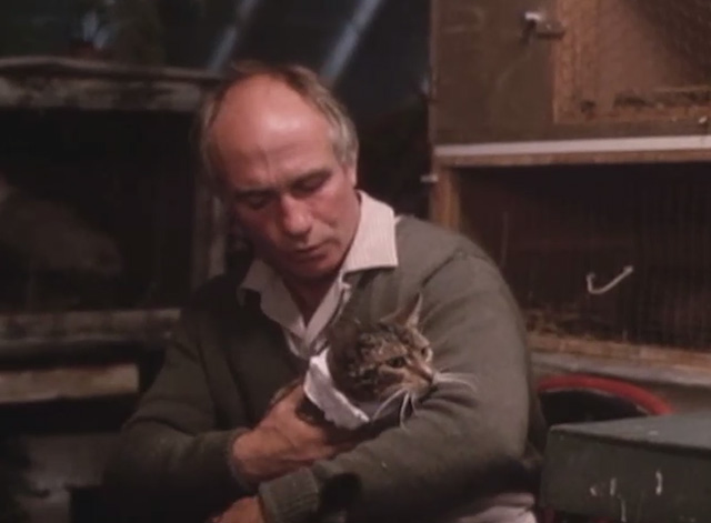 Mr. Love - Donald Lovelace Barry Jackson holding tabby cat wearing bandage