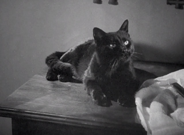 Mr. Moto's Last Warning - black cat Chunkina on table