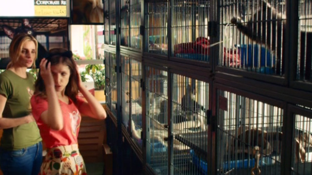 Mr. Right - Martha Anna Kendrick and Sophie Katie Nehra standing beside cats inside cages