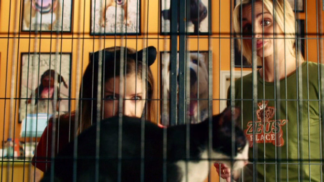 Mr. Right - Martha Anna Kendrick and Sophie Katie Nehra looking in at tuxedo cat Hannibal in cage