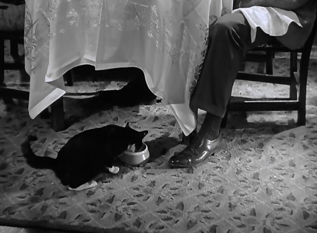 Mrs. Miniver - tuxedo cat Napoleon eating from bowl beneath table