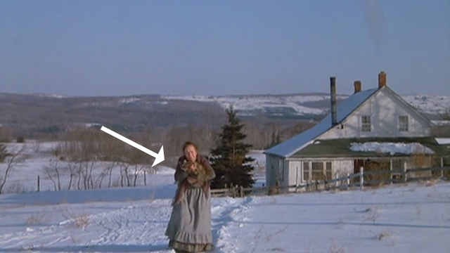 Mrs. Soffel - old woman running across snow holding Maine Coon tabby cat