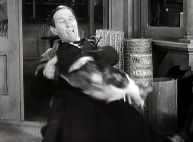 Mrs. Wiggs of the Cabbage Patch - tabby and white cat Bobby leaping over Mr. Bagby Charles Middleton