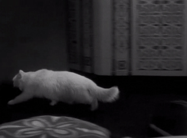 The Mummy - white cat running out of room