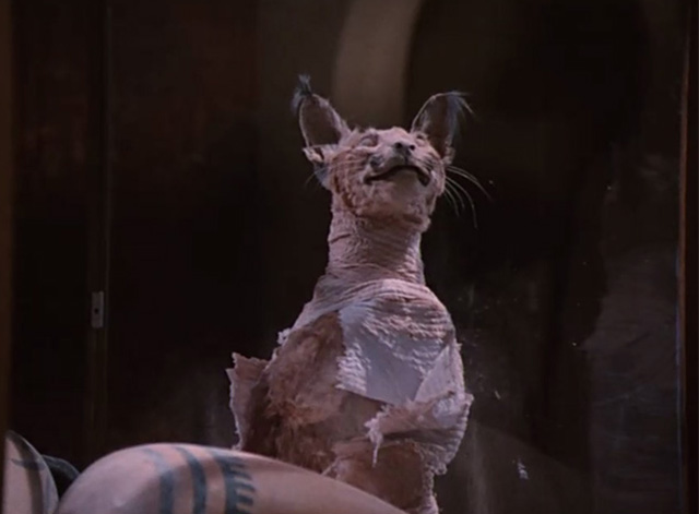 The Mummy Lives - cat mummy bursting out of wrappings