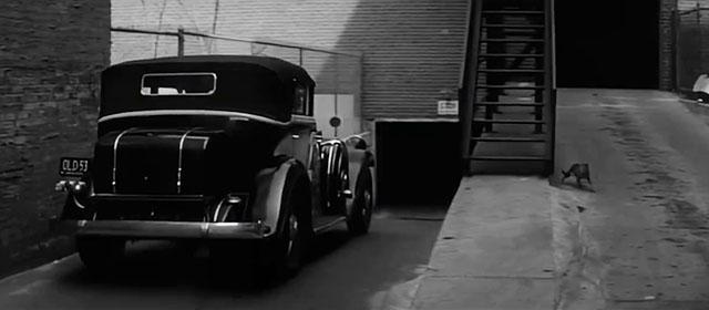 Murder, Inc. - tabby cat moving away from car