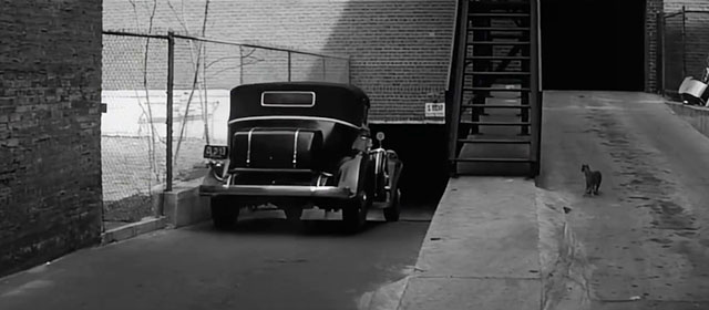 Murder, Inc. - tabby cat watching car pass
