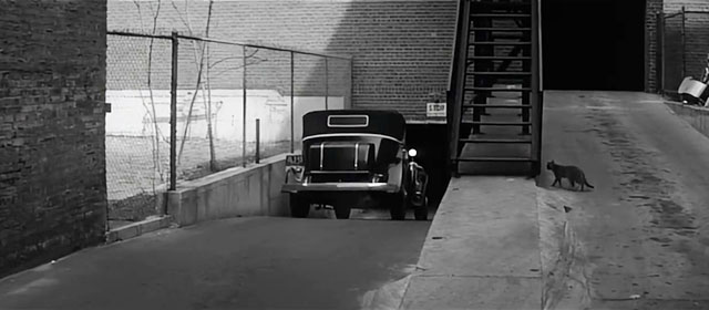 Murder, Inc. - tabby cat moving towards stairway