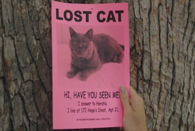 Murder of a Cat - cat Mouser on Lost Cat poster