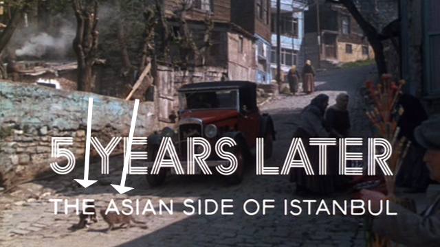 Murder on the Orient Express - brown tabby and tuxedo cat move to side of road as car approaches