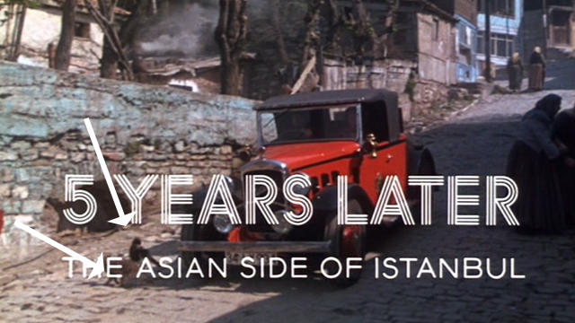 Murder on the Orient Express - brown tabby and tuxedo cat move to side of road as car approaches