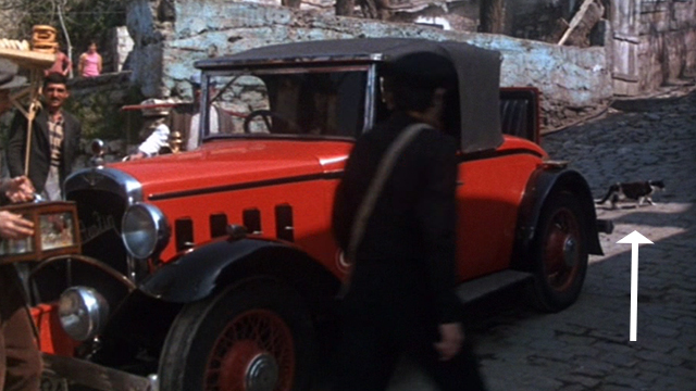 Murder on the Orient Express - tuxedo cat walking behind car