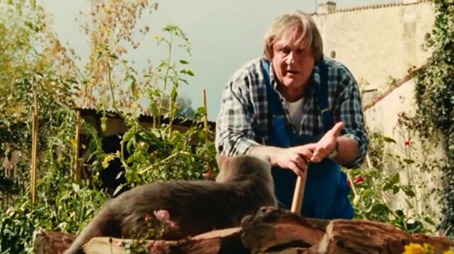 My Afternoons with Margueritte - Jeremy shorthair cat sitting on woodpile listening to Germaine