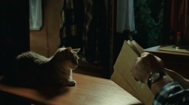 My Afternoons with Margueritte - Jeremy shorthair cat sitting on table as Germaine looks at dictionary