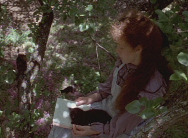 My Brilliant Career - black kitten on Sybylla's lap, kitten on branch and kitten on ground