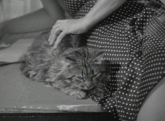 My Man and I - Nikki