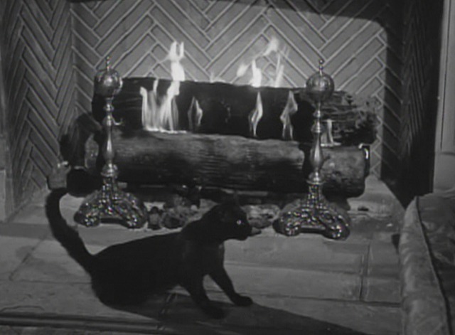 My Name is Julia Ross cat and fireplace