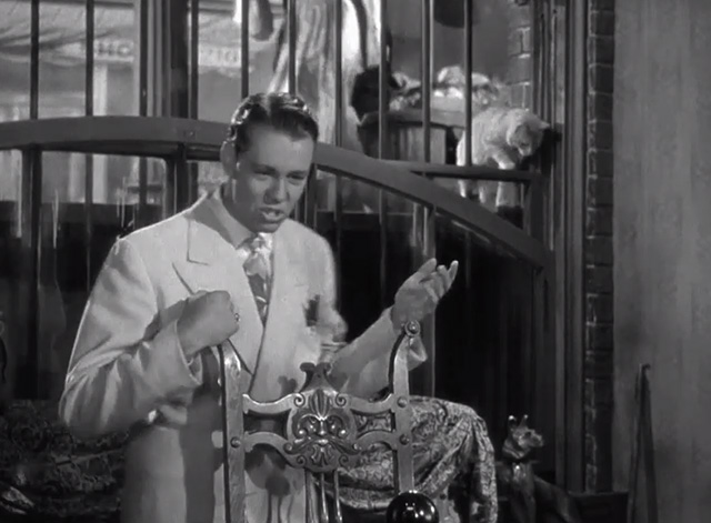 My Sister Eileen - Frank Richard Quine standing in front of basement window where tabby cat is entering