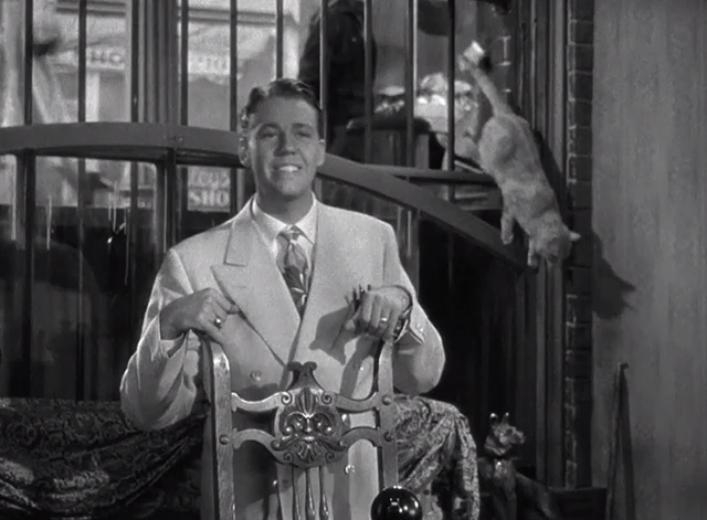 My Sister Eileen - Frank Richard Quine standing in front of basement window where tabby cat is entering