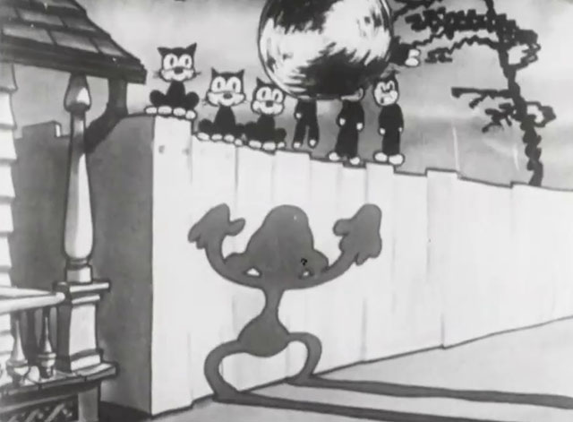 Mysterious Mose - cartoon black cats sitting on fence coming out of spinning cat