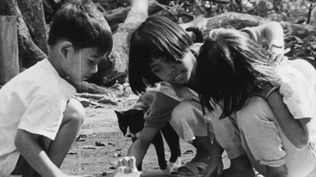 Mysterious Object at Noon - Dokfa nai meuman - children playing with toy car and tuxedo cat
