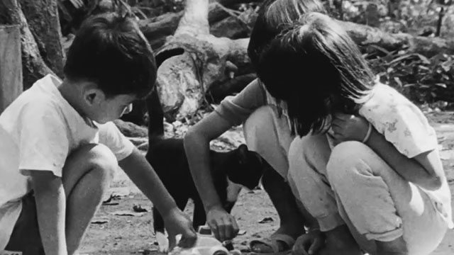 Mysterious Object at Noon - Dokfa nai meuman - children playing with toy car and tuxedo cat