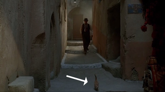 Naked Lunch - orange cat running down alley in front of Bill Lee Peter Weller