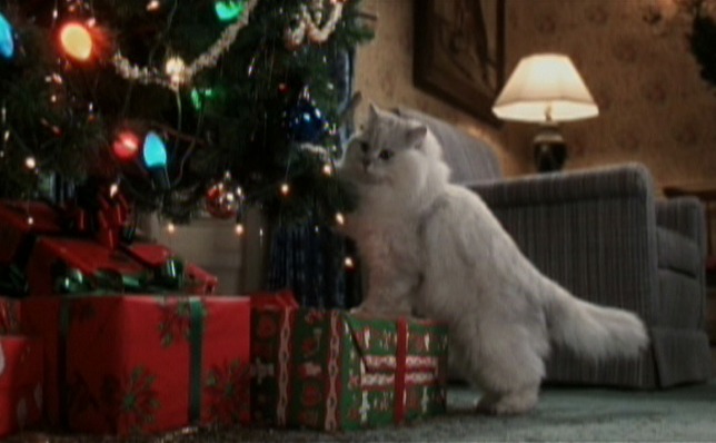 National Lampoon's Christmas Vacation - Angora cat near tree