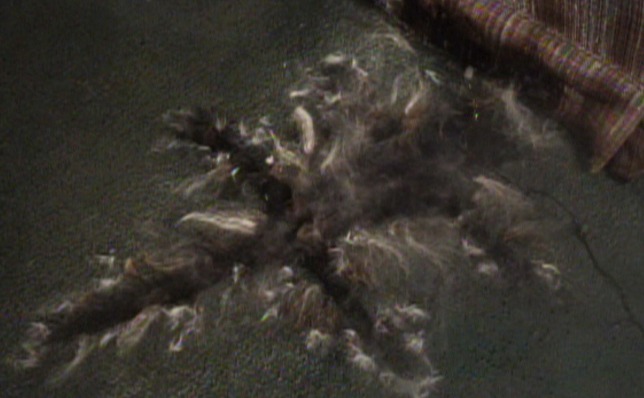 National Lampoon's Christmas Vacation - Angora cat gone poof