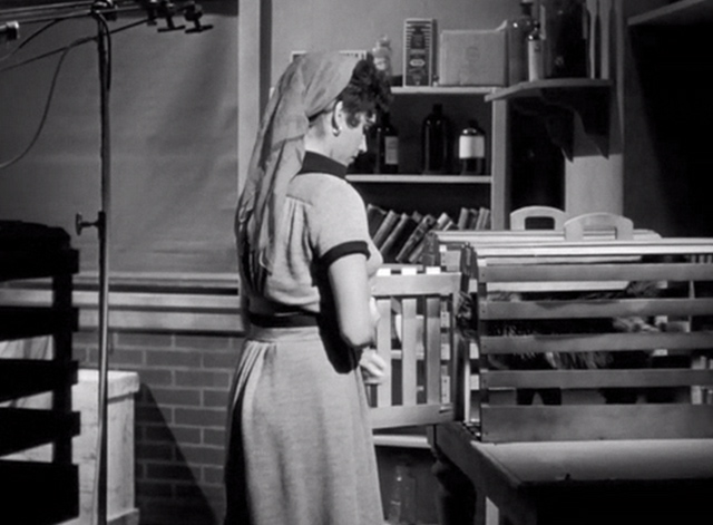 The Neanderthal Man - Celia Tandra Quinn feeding tabby Maine Coon cat in crate
