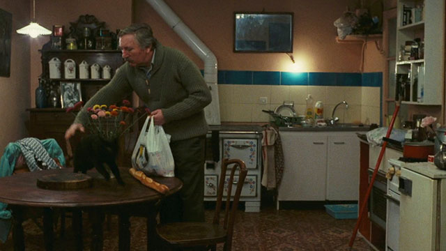 Neige - black cat jumping away from Bruno Paul La Person