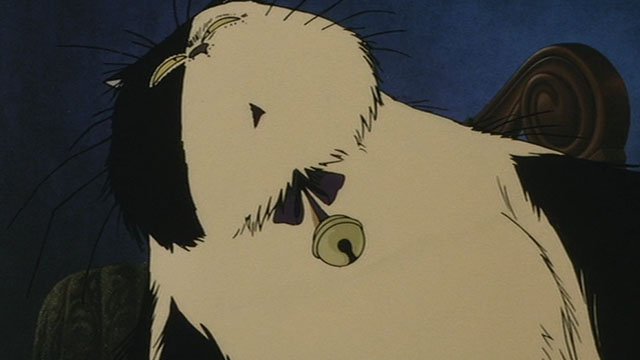 Neo Tokyo - cartoon longhair black and white cat Cicerone looking confused