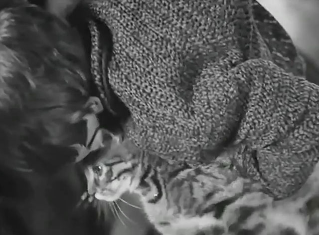 Neurasthenia - Bolnye nervy - little girl holding tabby kitten