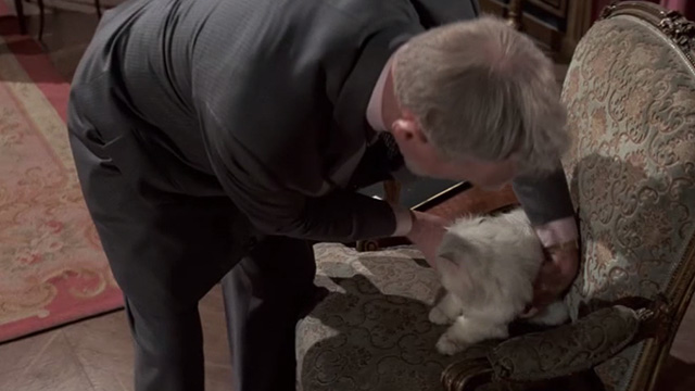 Never Say Never Again - Blofeld Max von Sydow picking up white Angora cat from chair