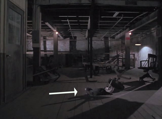 Next of Kin - gray and white tuxedo cat looking at door