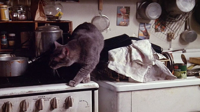 Next Stop, Greenwich Village - gray tabby cat on stove