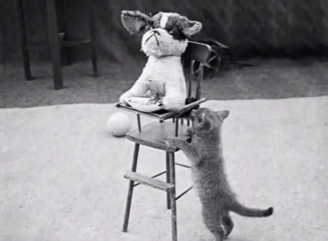 Nice Babies - grey kitten trying to climb up to toy dog in high chair