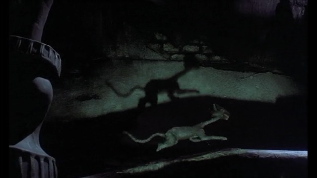 The Nightmare Before Christmas 1993 Cinema Cats The Nightmare Before Christmas 1993 Cinema Cats