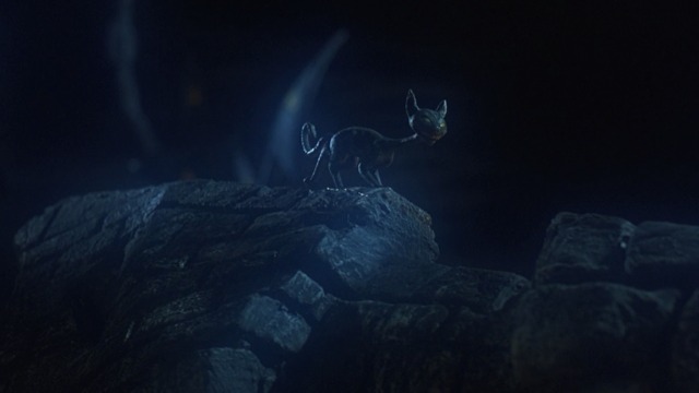 The Nightmare Before Christmas 1993 Cinema Cats The Nightmare Before Christmas 1993 Cinema Cats